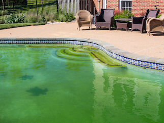 My swimming pool turned green – what should I do about It?